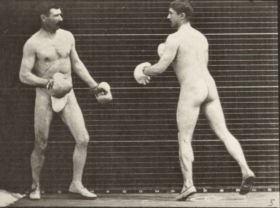 Plate 335 Boxing with gloves — figure reference